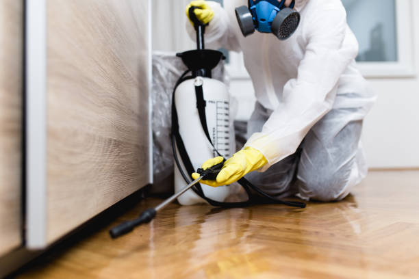 Best Wasp Removal Services  in Watsessing, NJ