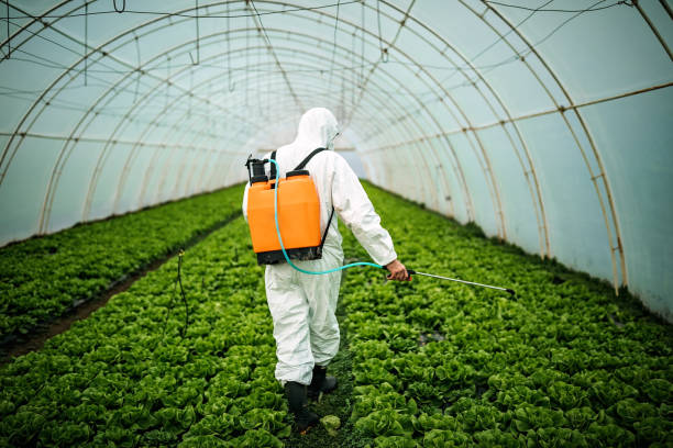 Professional Pest Control in Watsessing, NJ