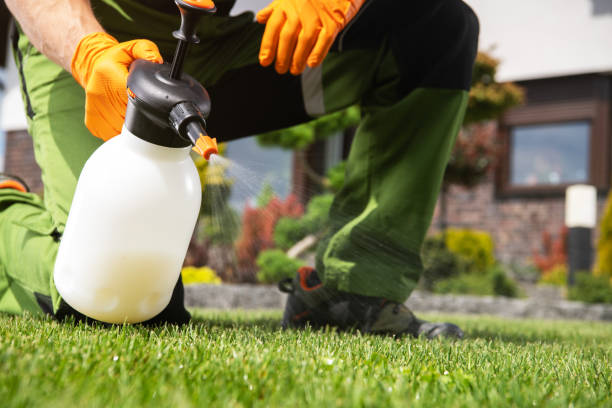 Best Rodent Control Near Me  in Watsessing, NJ